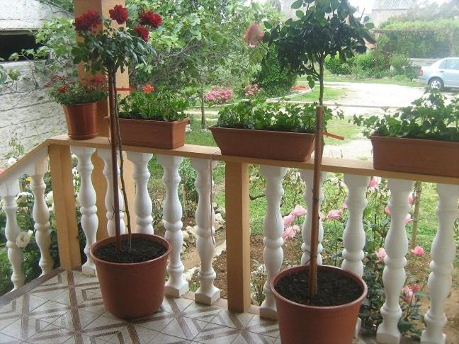 Apartment In Nin With Terrace, Air Conditioning, Wi-Fi Ngoại thất bức ảnh